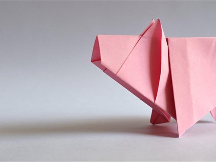 Virtual Introduction to Oragami For All Ages